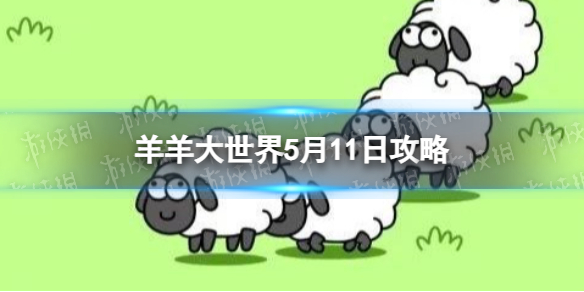 《羊了个羊》羊羊大世界5.11攻略 5月11日羊羊大世界怎么过
